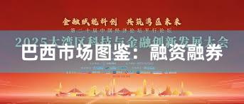 巴西市场图鉴：融资融券